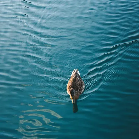 Lottas Am - Exklusive Mit Privatem Seezugang 公寓